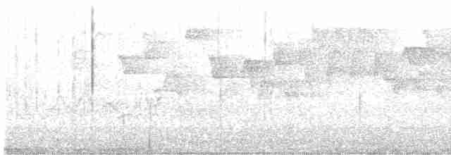 Тихоокеанский крапивник - ML618217052