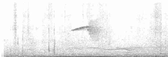 Oriental Magpie-Robin - ML618218712