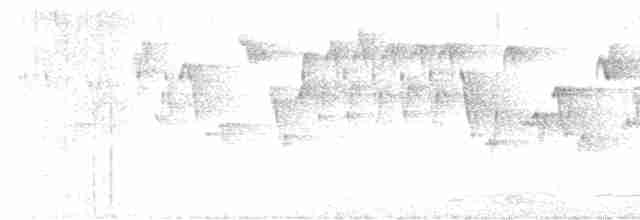 Тихоокеанский крапивник - ML618218837