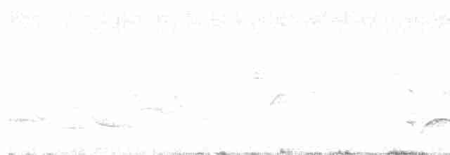 Кропив’янка чорноголова - ML618219882