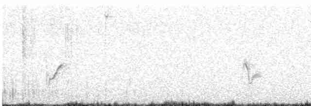 Gray Vireo - ML618220224
