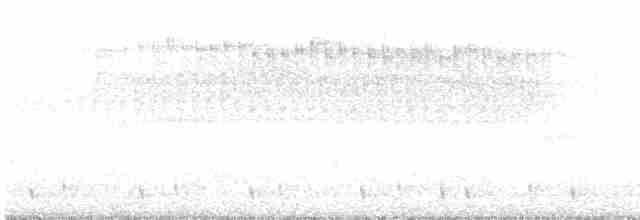 Paruline vermivore - ML618220699