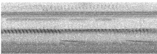Серошапочный сорокопутовый виреон - ML618220765