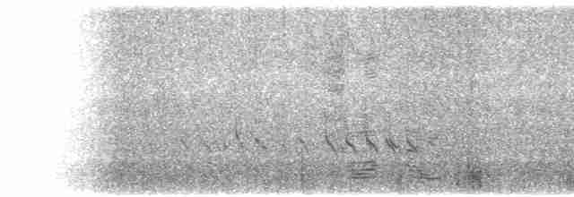 Короткоклювый бекасовидный веретенник - ML618221384