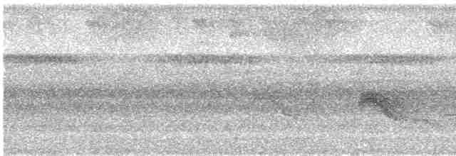 キスジメジロハエトリ（flaviventris グループ） - ML618222511