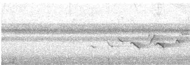 Kestane Karınlı Koca Tohumcul - ML618222526