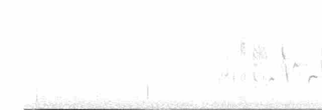 Western Subalpine Warbler - ML618222882