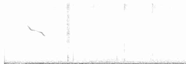 Trauerseeschwalbe - ML618223786