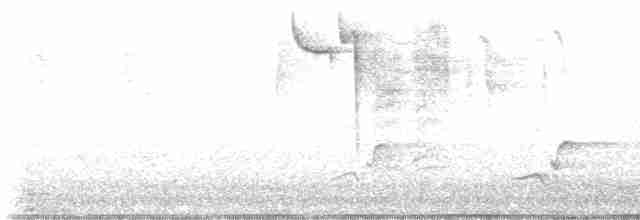 Cerulean Warbler - ML618224297