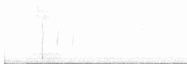 Шишкар ялиновий - ML618224826