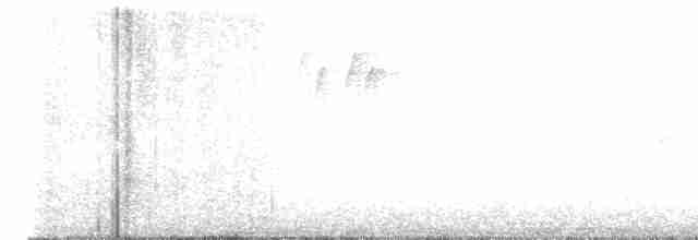 Каролинский крапивник - ML618225306