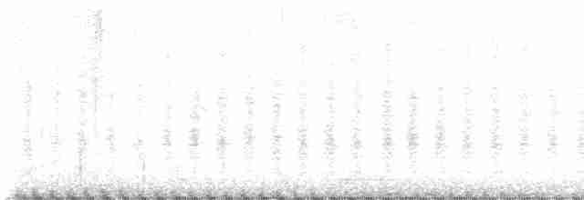 Белокрылый трупиал - ML618225358