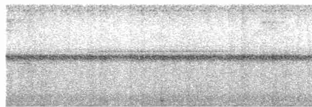 Тиран-крихітка світлогорлий - ML618225965