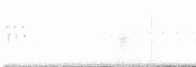 Yellow-rumped Warbler - ML618226211
