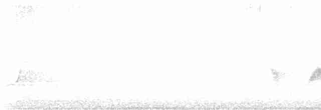 Чернокрылая пиранга - ML618226631