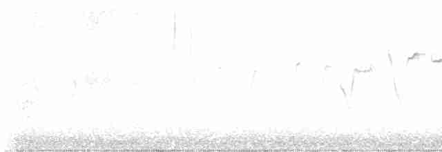 Золотомушка рубіновочуба - ML618226684