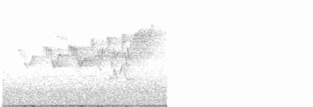 Cerulean Warbler - ML618227021