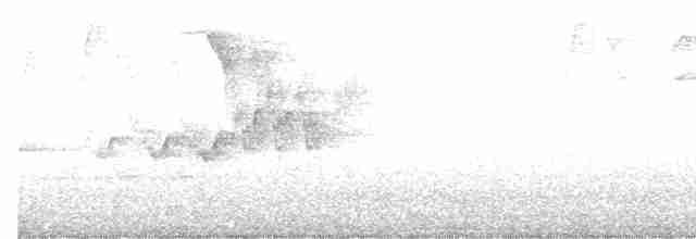 Cerulean Warbler - ML618227022