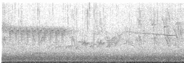 "Шишкар ялиновий (Western Hemlock, або тип 3)" - ML618227916