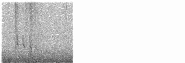 Короткоклювый бекасовидный веретенник - ML618229537
