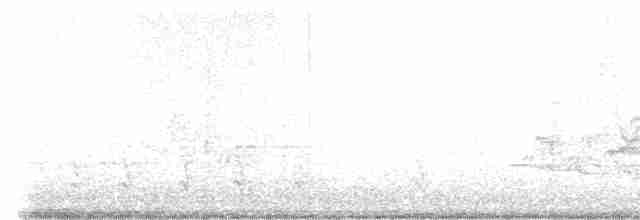 Cerulean Warbler - ML618229867