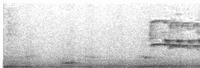 Тиранчик-тонкодзьоб південний - ML618230700