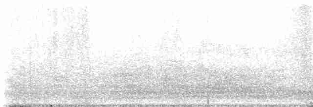 Common Yellowthroat - ML618231125