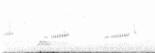 Common Yellowthroat - ML618231319