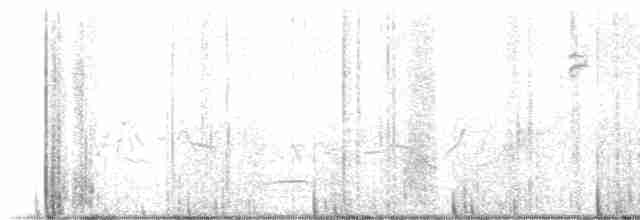 セスジツバメ - ML618231648
