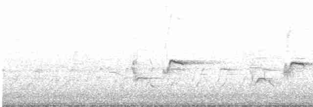 Пересмішник сірий - ML618231706