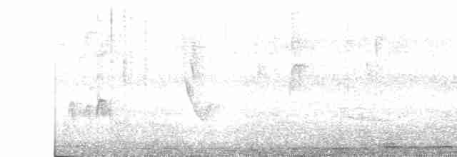 tyranovec olšový - ML618232463