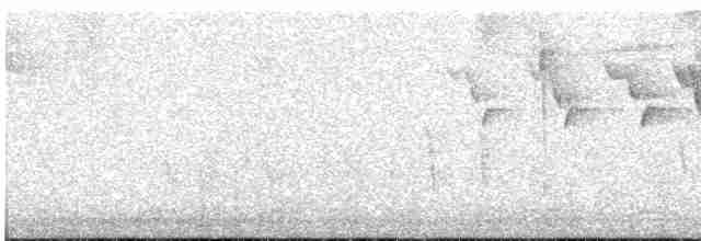 Slate-throated Redstart - ML618232720