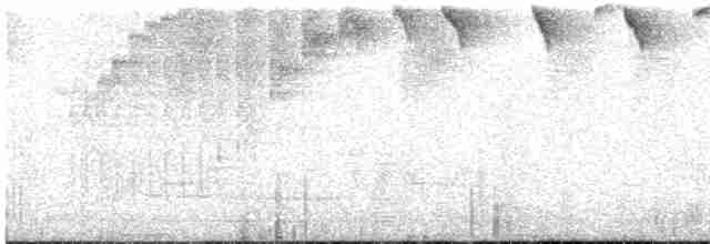 Черноухий колибри - ML618232825
