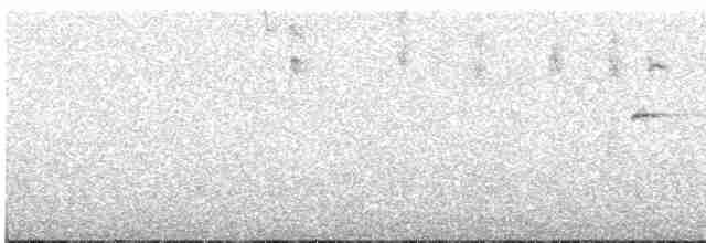 Percefleur masqué - ML618233424