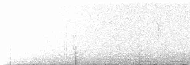 Kara Kuyruklu Bitkuşu - ML618233687