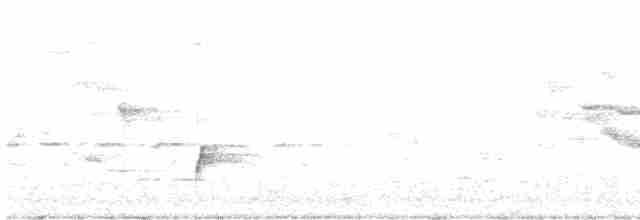 Дрізд-короткодзьоб Cвенсона - ML618235715
