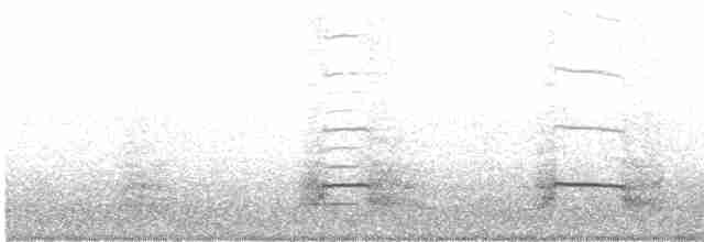 Дятел-смоктун сосновий - ML618236651