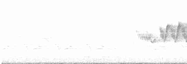 Cerulean Warbler - ML618237266