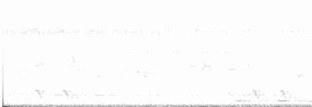 Philippine Nightjar - ML618238297