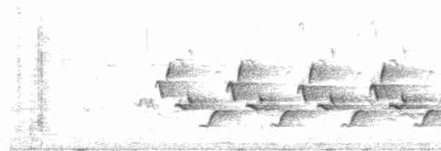 Поплітник каролінський - ML618238518