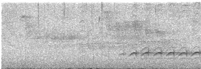 Weißbrustkleiber (carolinensis) - ML618238994