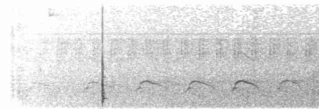 Полосатая агуйла - ML618240291