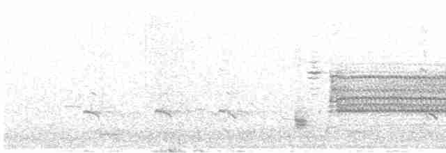 vlhovec červenokřídlý - ML618240849
