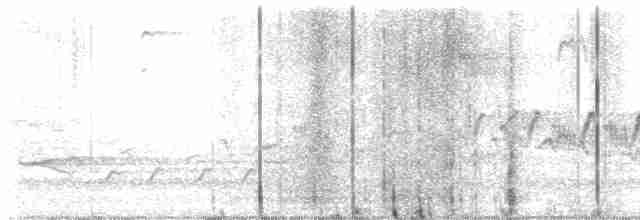 Cerulean Warbler - ML618241867