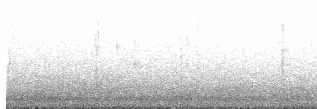 Пеночковый виреон (pusillus) - ML618241976
