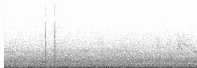 Braunaugenvireo (pusillus) - ML618241981