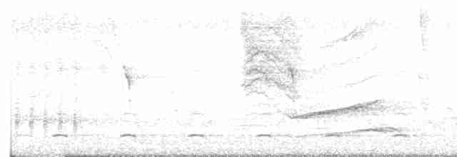 Chevêchette brune - ML618242180