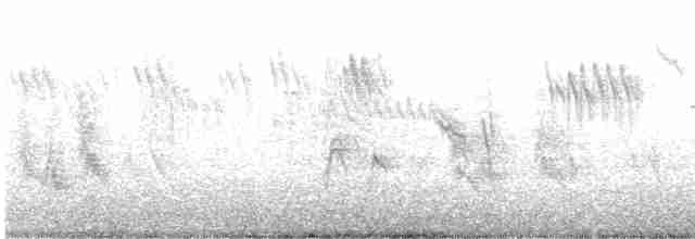 Омелюх звичайний - ML618243589
