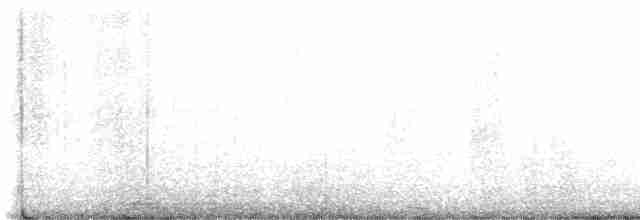 prærielerketrupial - ML618244875