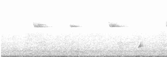 Дрізд-короткодзьоб Cвенсона - ML618246098